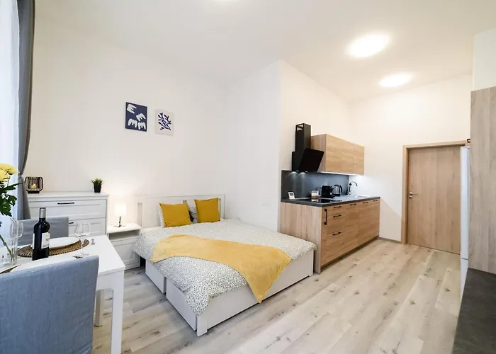 New Apartments Near Dancing House